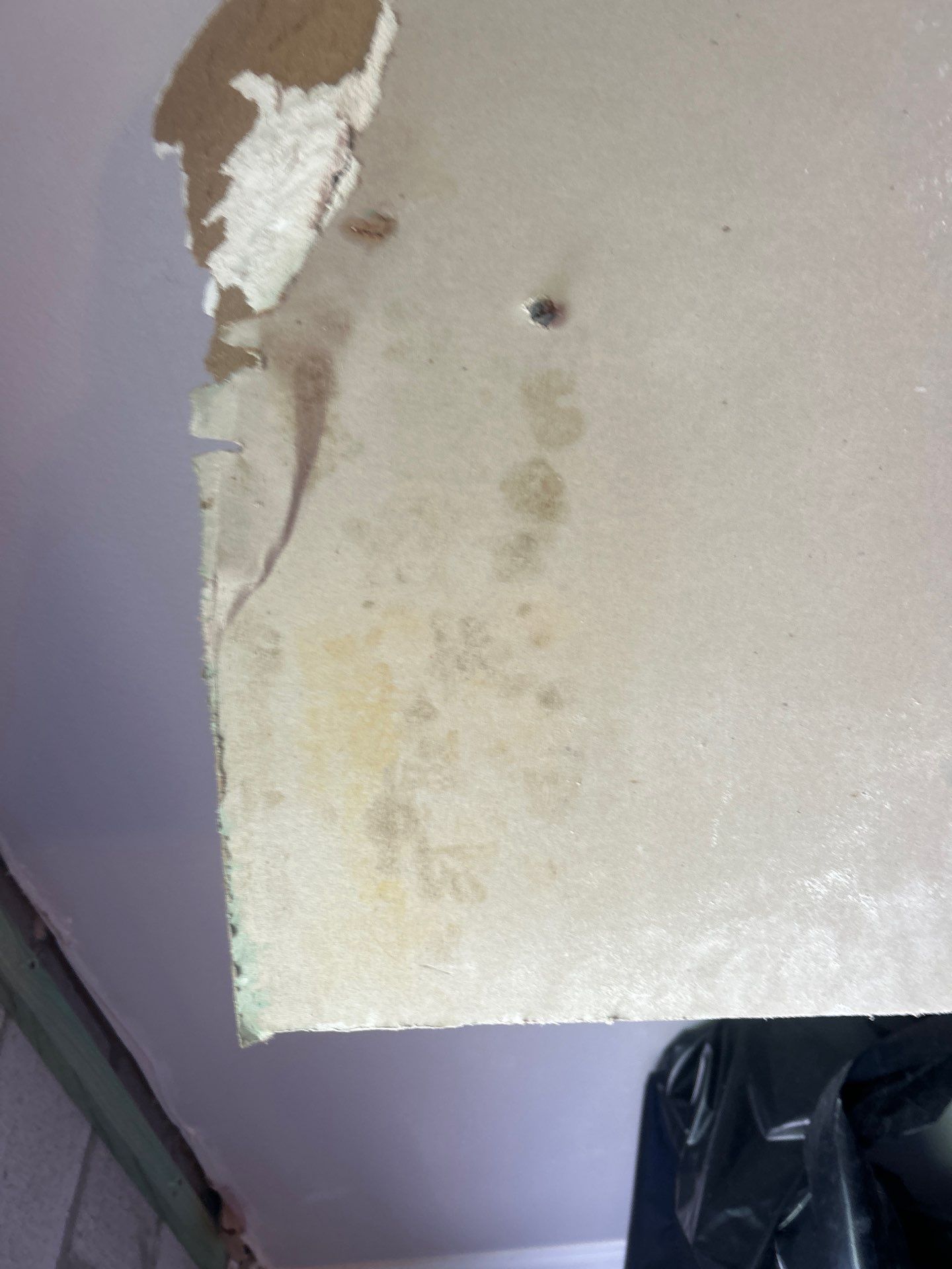 Bradenton Mold Removal by Ampm Restoration Services