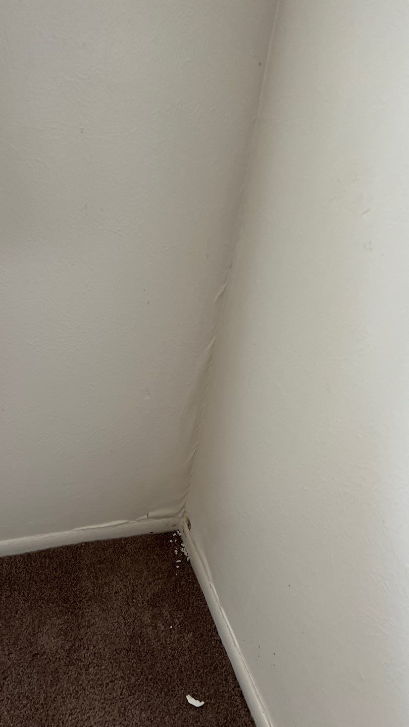 Water Damage  by Accountable Home Services