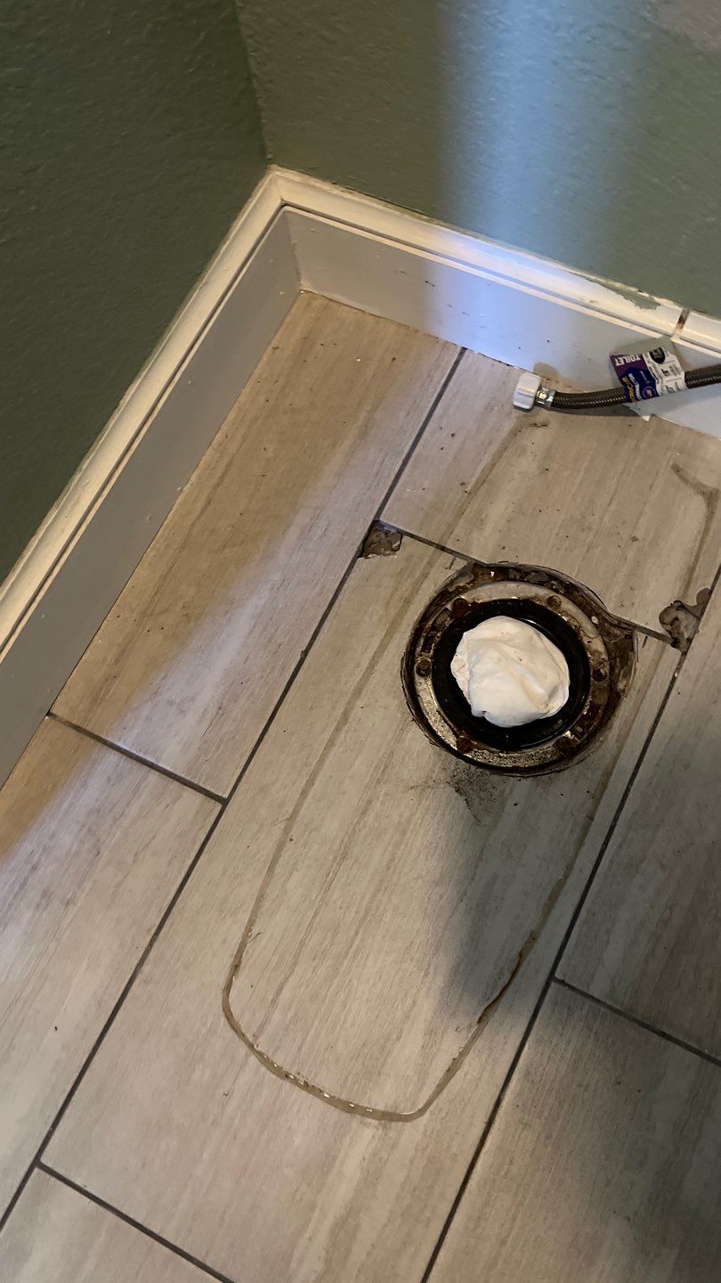 Mold Remediation by Accountable Home Services