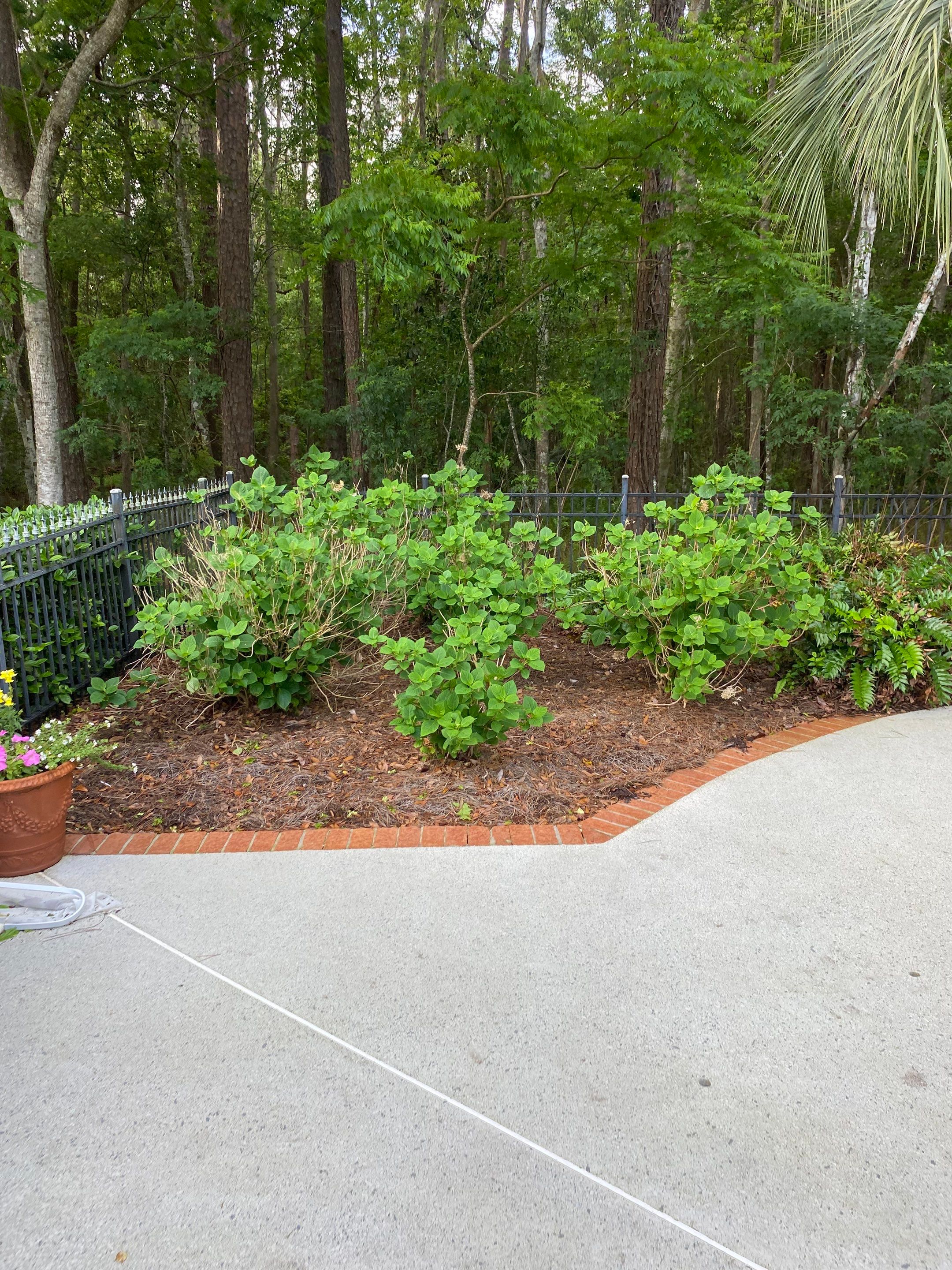 Deerwood Resident | Pine Straw Installation by ProGreen Services