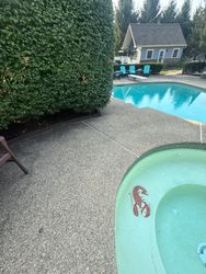 Paver Sealing & Polymeric Sand in Long Valley, NJ — Gallo Bros job photo