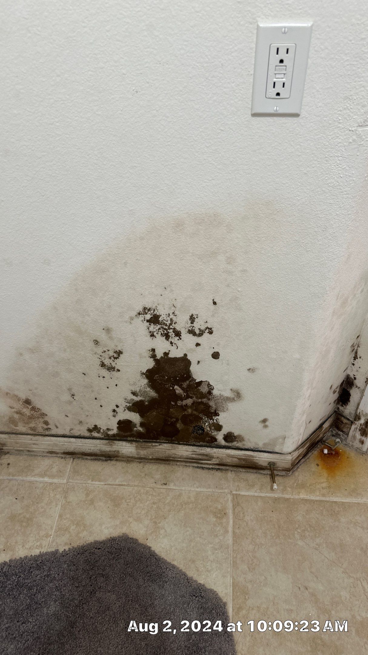 Mold Assessment using IR Camera, Moisture Meter, Air Cassette samples and Tape lifts by Building performance Solutions LLC
