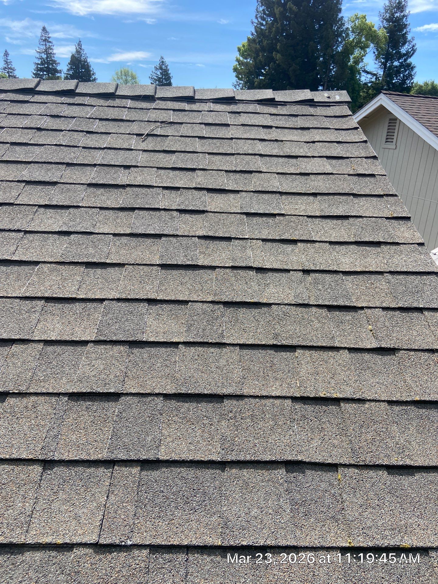 Roof Rejuvenation using Roof Maxx Treatment by Roof Maxx of Folsom