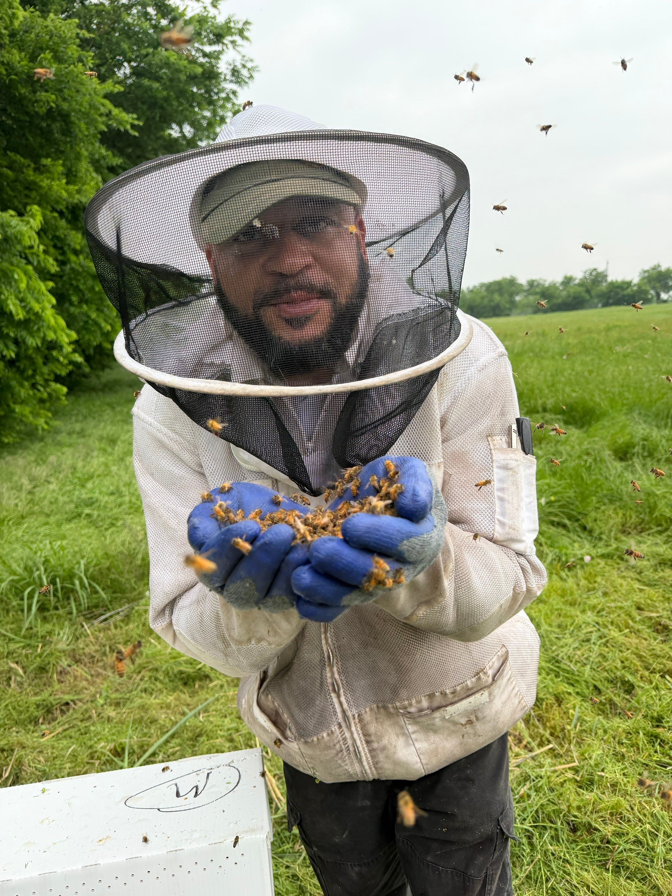 Special Use Valuation in McClendon-Chisolm by Rockwall Honey Bee Company