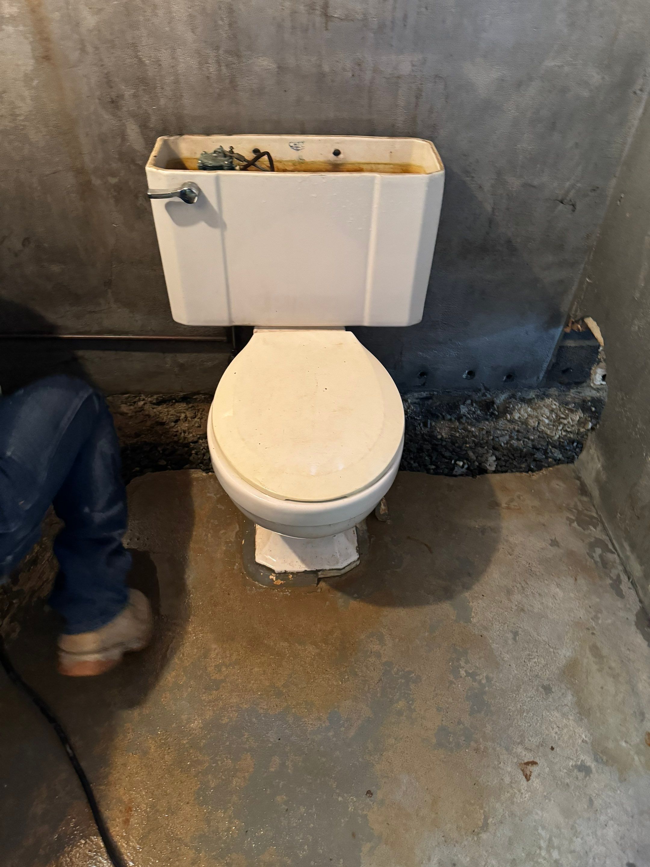 Interior French Drain Washington Township, NJ by Pure Service Pro, LLC 