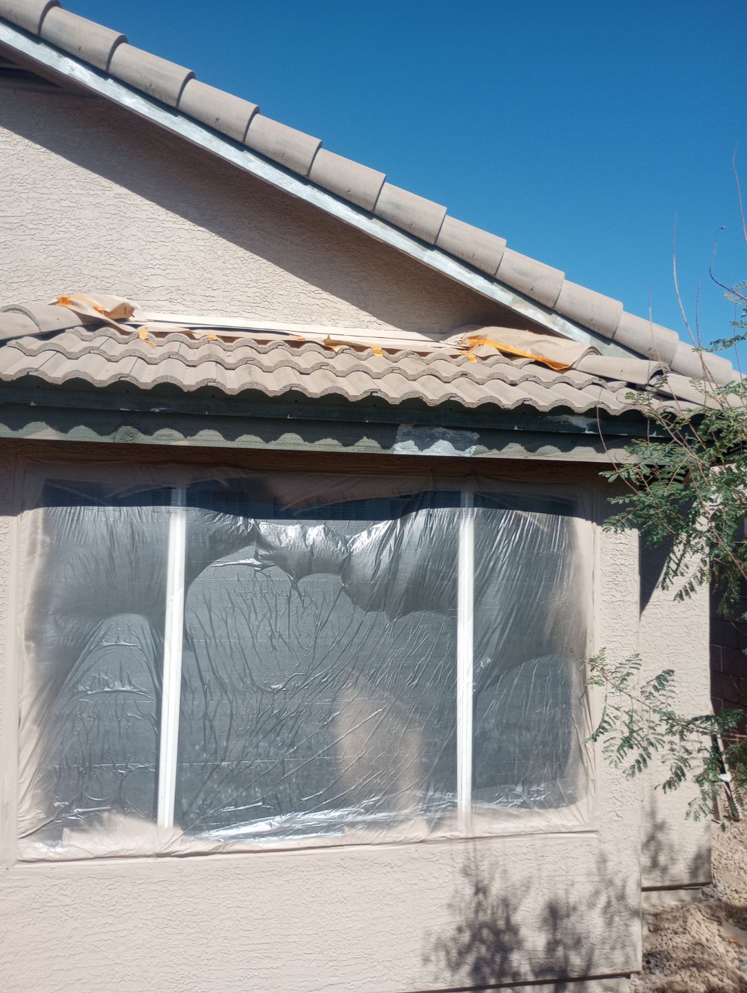 Exterior Painting - Phoenix by Crash of Rhinos Painting & Garage Floors
