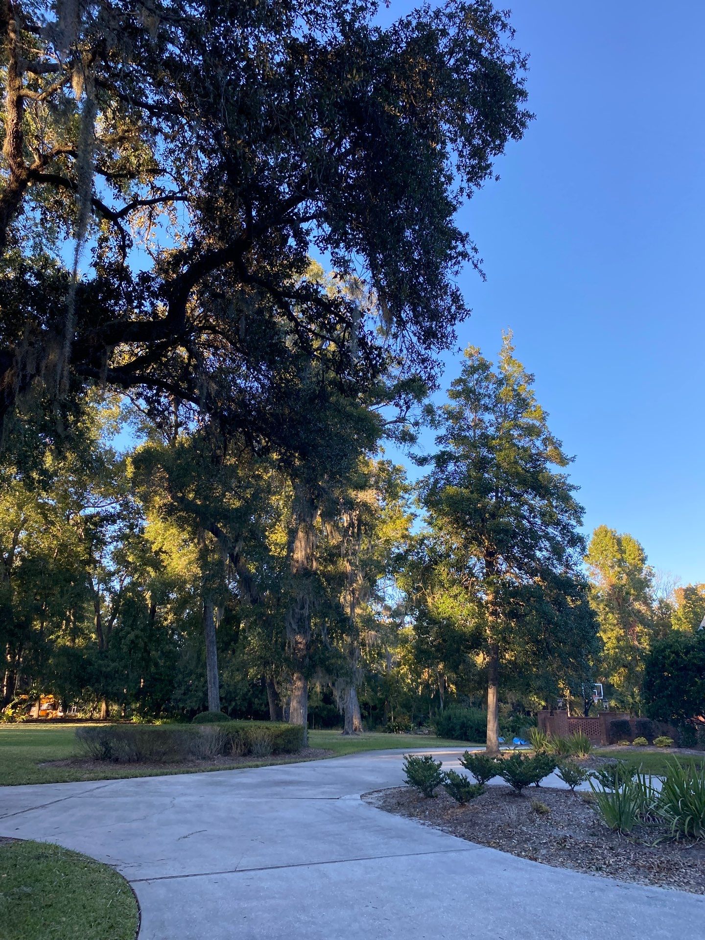 Deerwood Resident | Tree Removal & Trimming by ProGreen Services