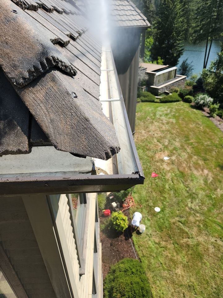 Moss Removal/ Treatment using Biocide by Willamette Outdoor Wash LLC