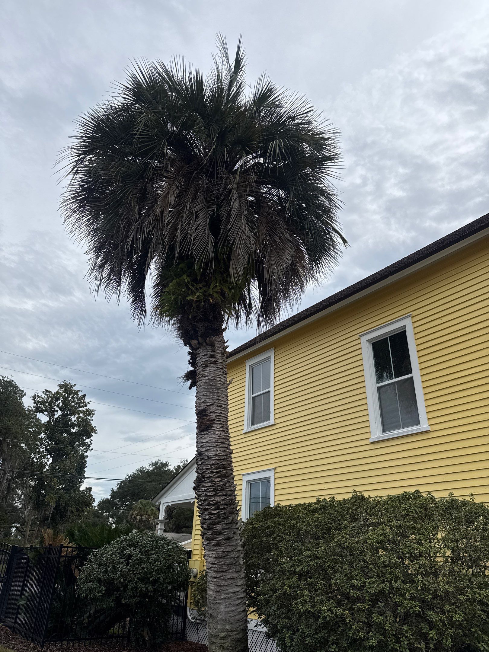 Volunteer Work | Episcopal High School of Jacksonville by ProGreen Services