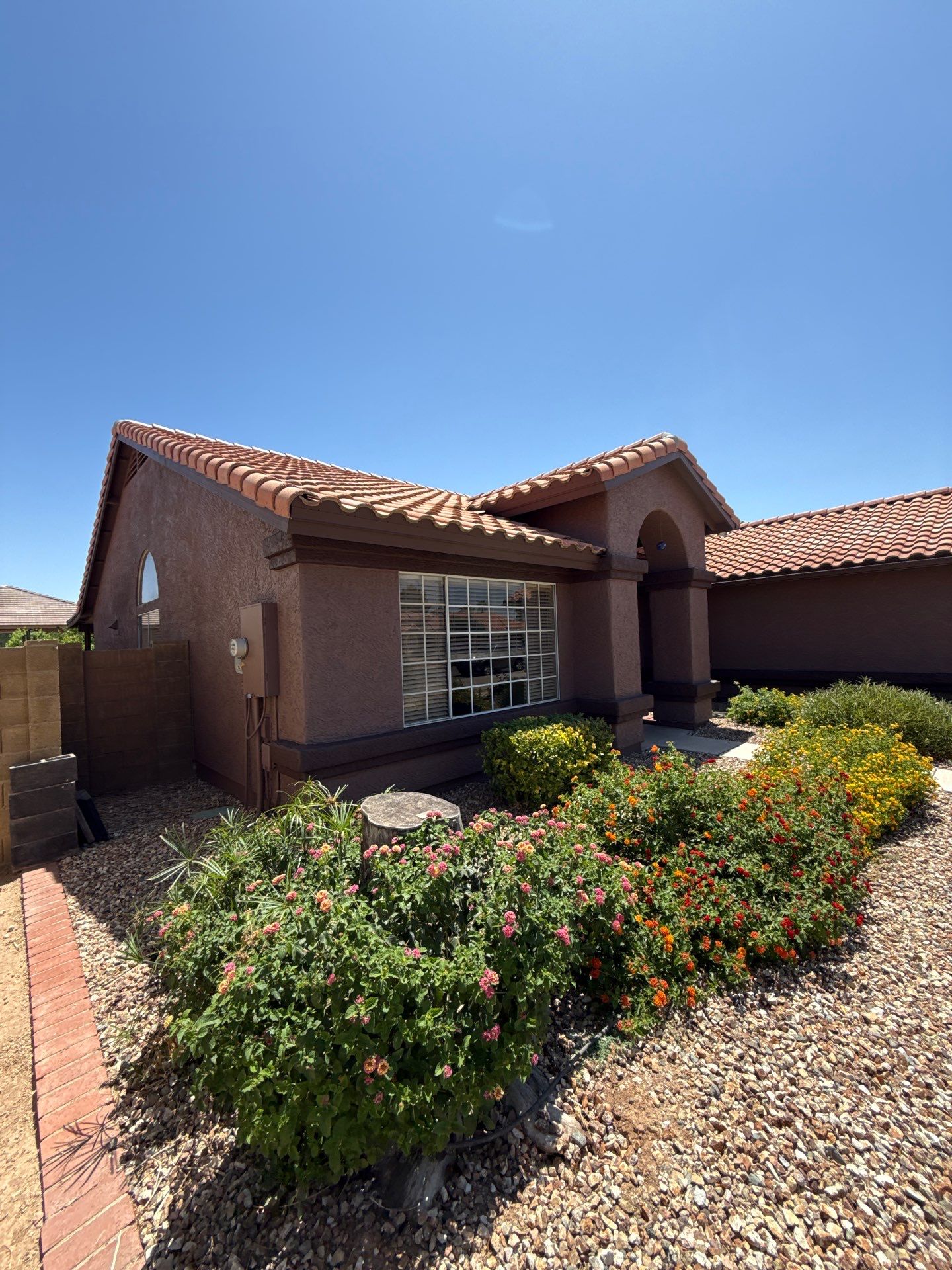 Exterior Painting - Chandler by Crash of Rhinos Painting & Garage Floors