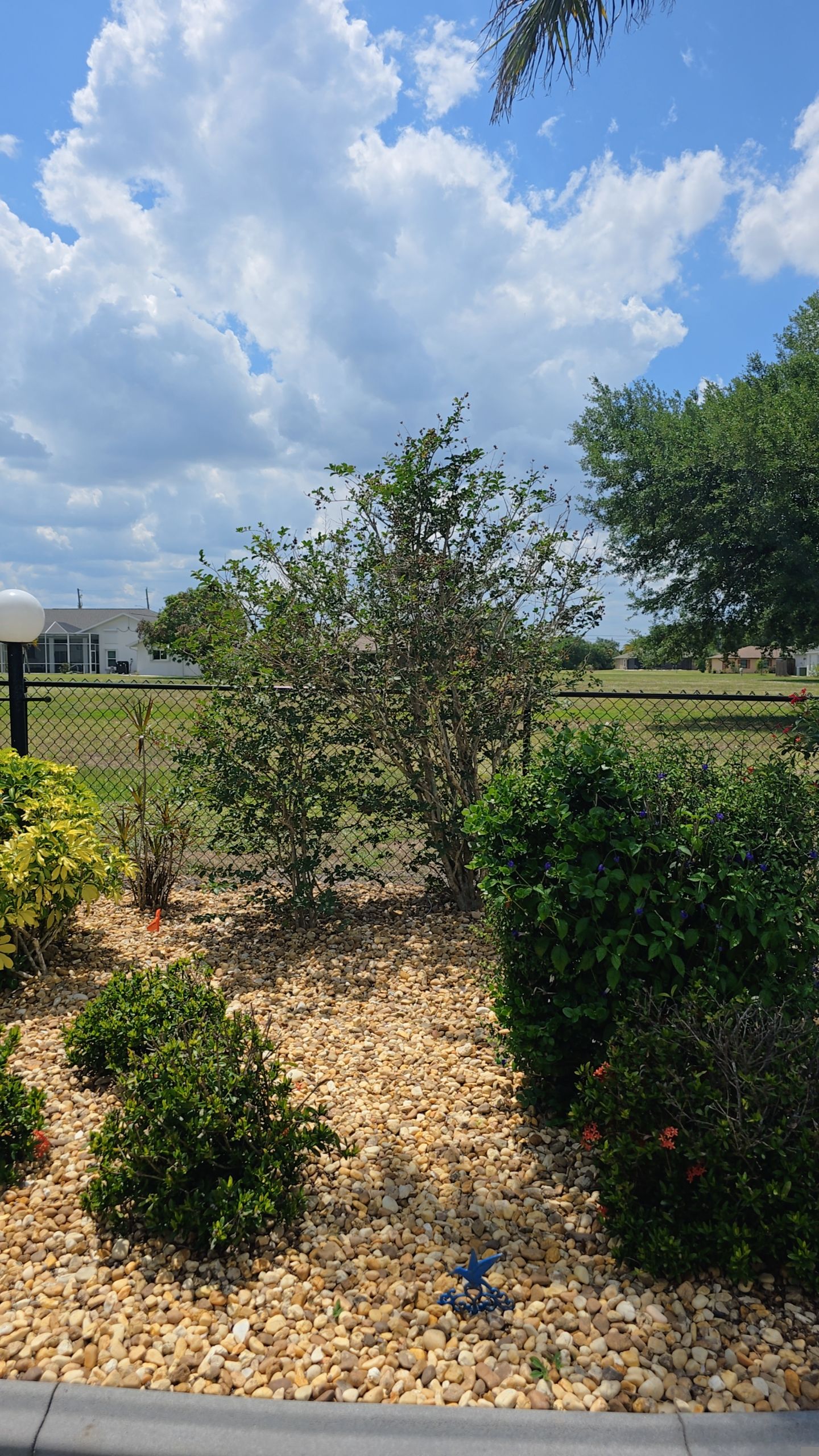 Chain Link Fence in Punta Gorda by True Fence LLC