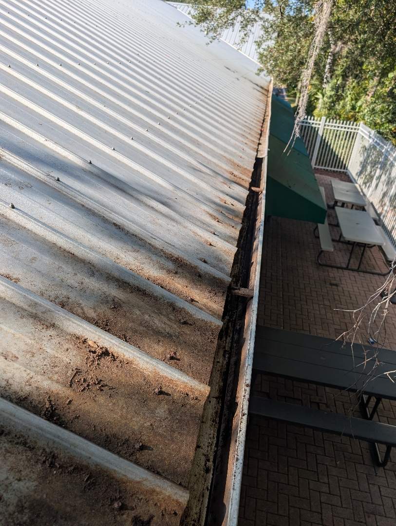 Retail roof & gutter cleaning after cleaning photo.