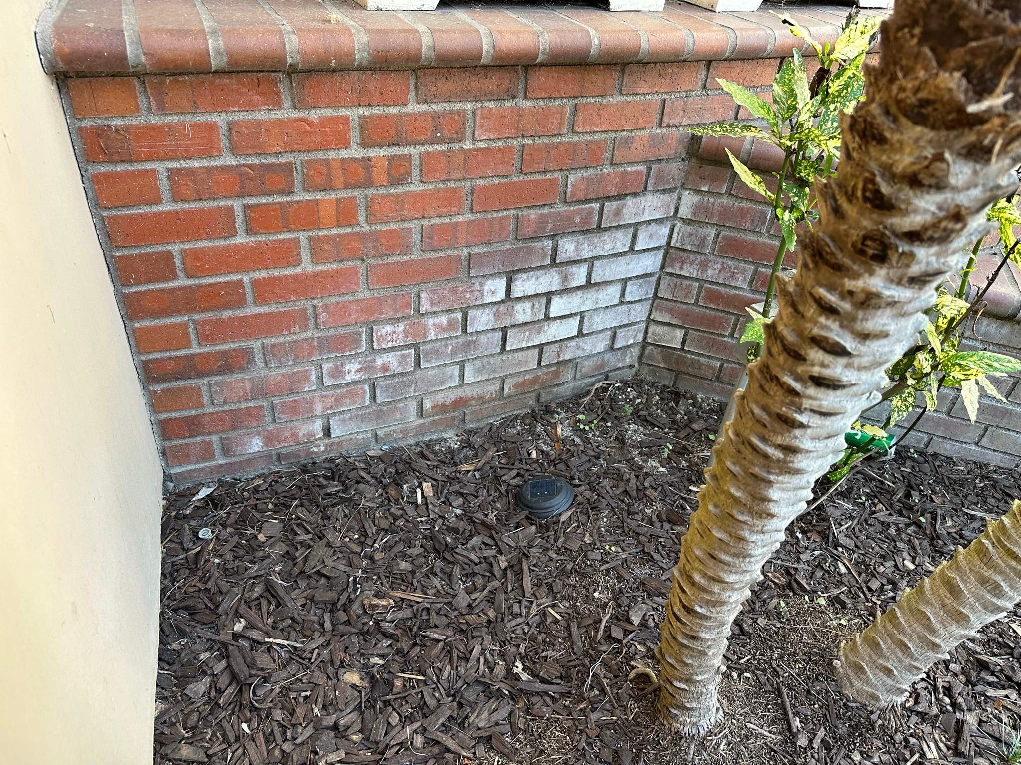 Orange County Clay Tile Roof Soft Wash on Unwalkwable Roof by Property Cleaning Experts