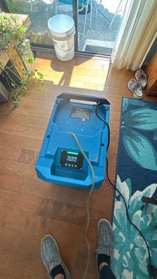 Flood Damage Cleanup — Fort Myers, FL