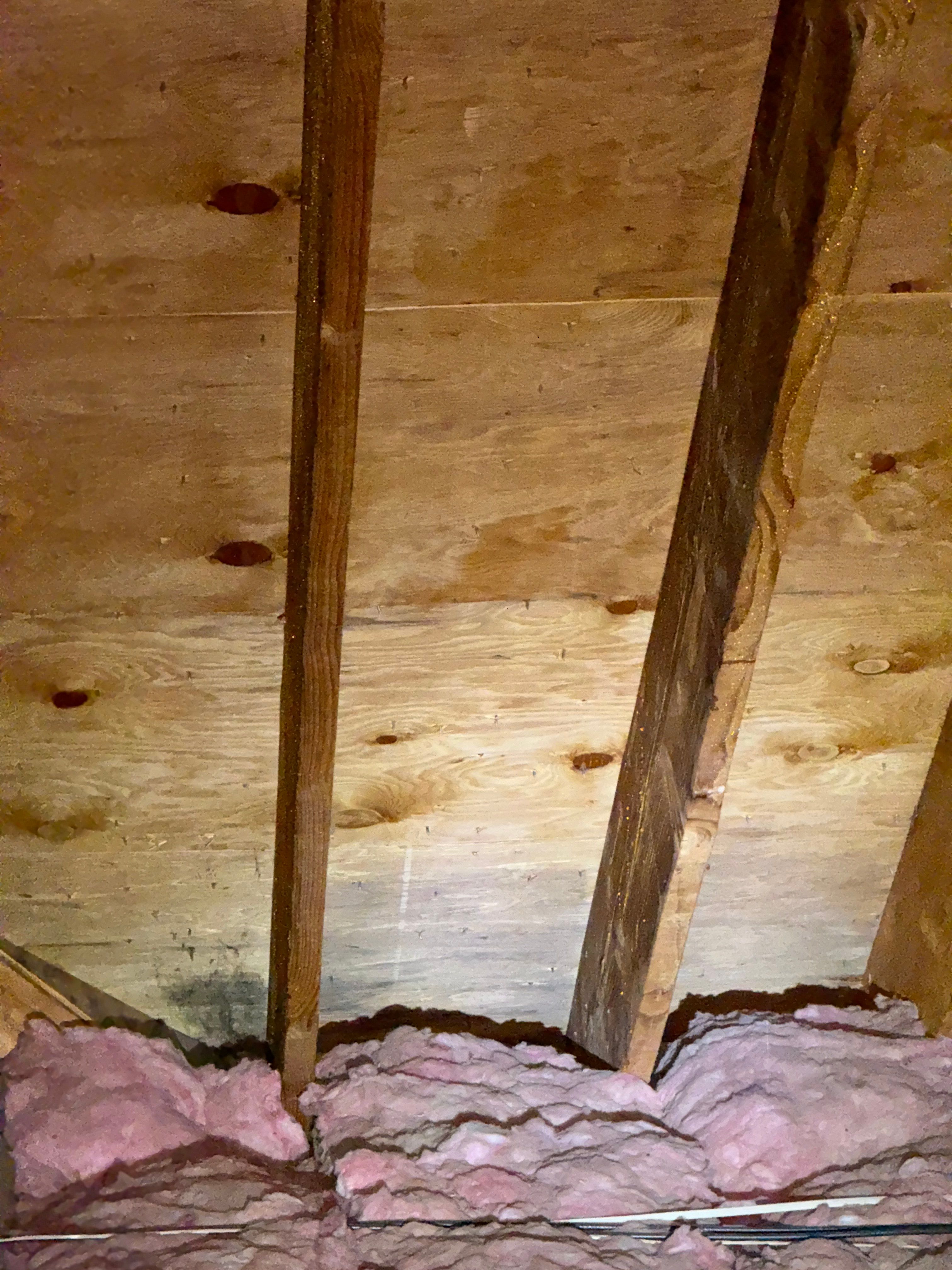 Interior French Drain With Radon Seal & Mold Remediation in Wall Township by Pure Service Pro, LLC 