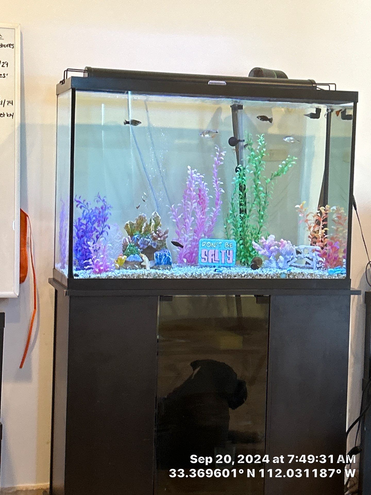 2-Day remodel, record time  by CompanyCam Sales Demo