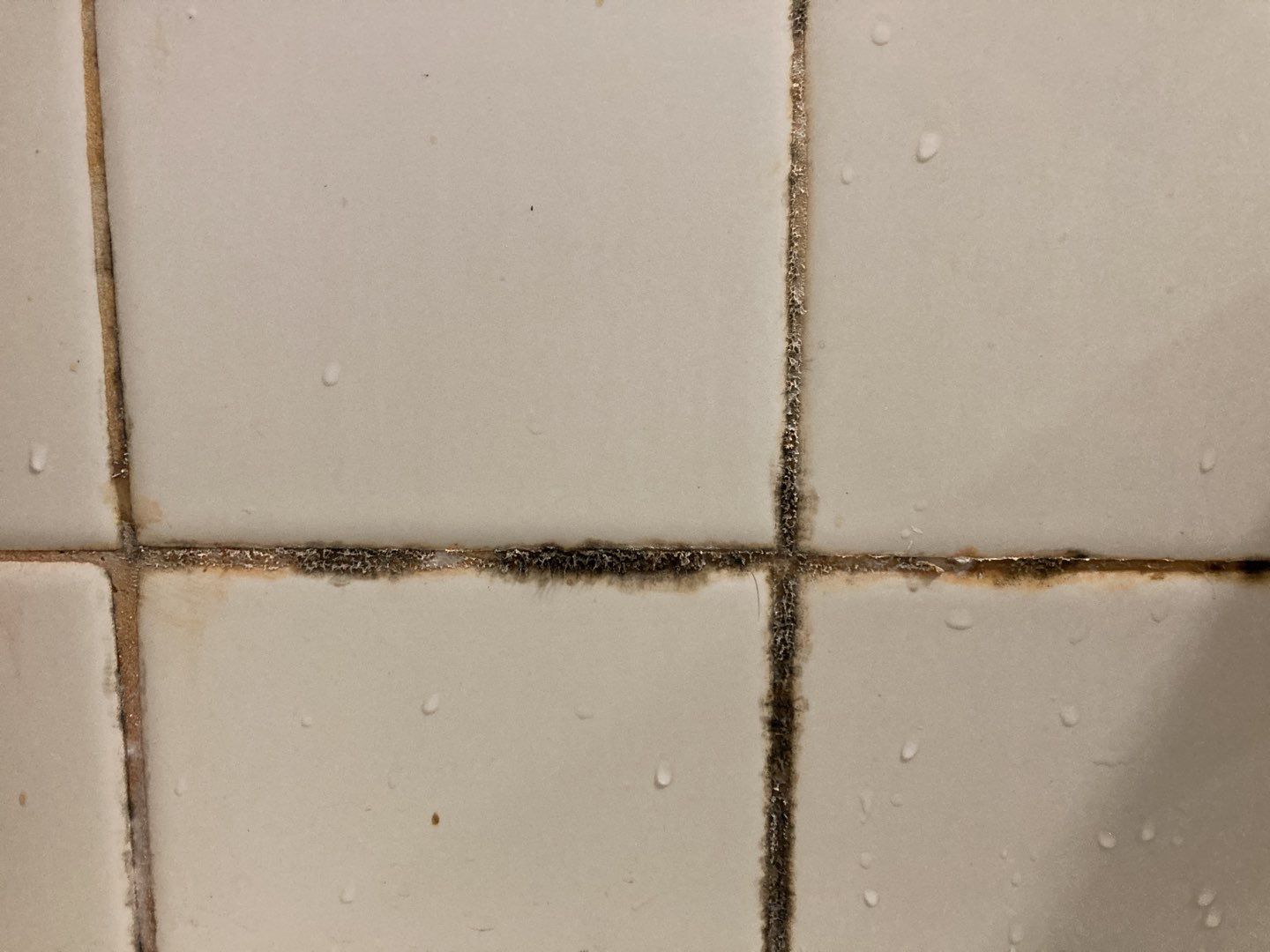 Water Damage in Bathroom by Accountable Home Services