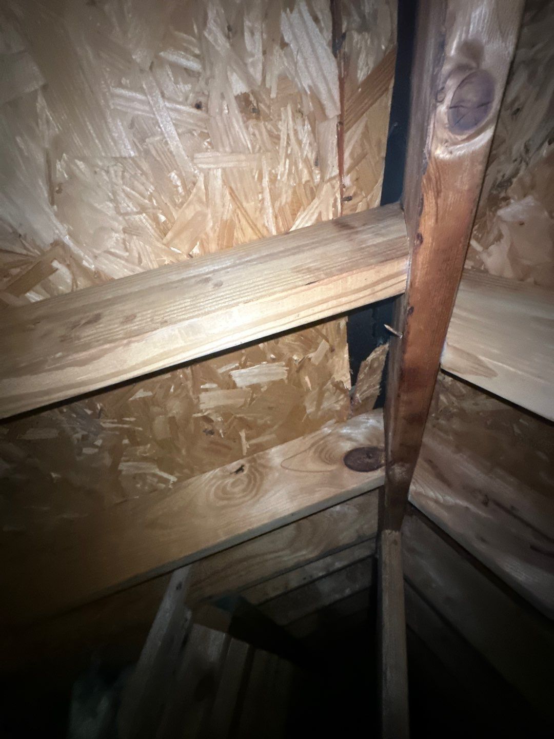 Roof Repair Houston by Roof Repair Services LLC