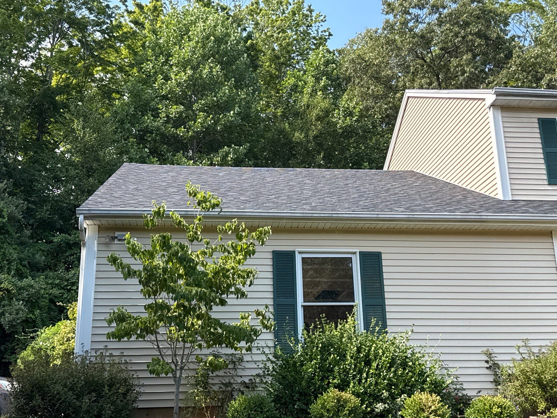 Wallingford by All site builders LLC