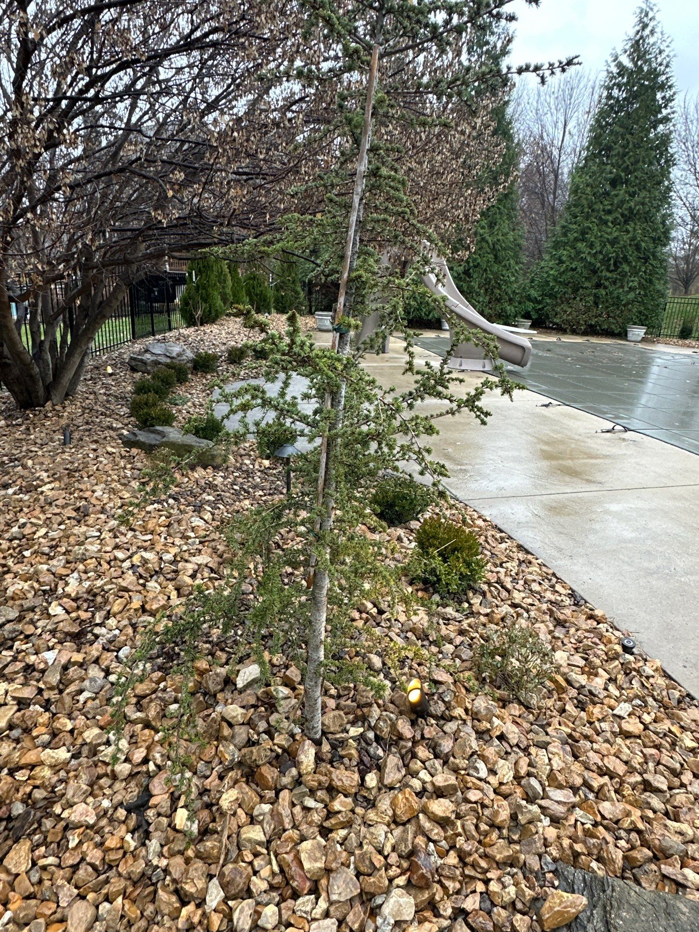 Pool Landscape by LAND ESCAPES LLC