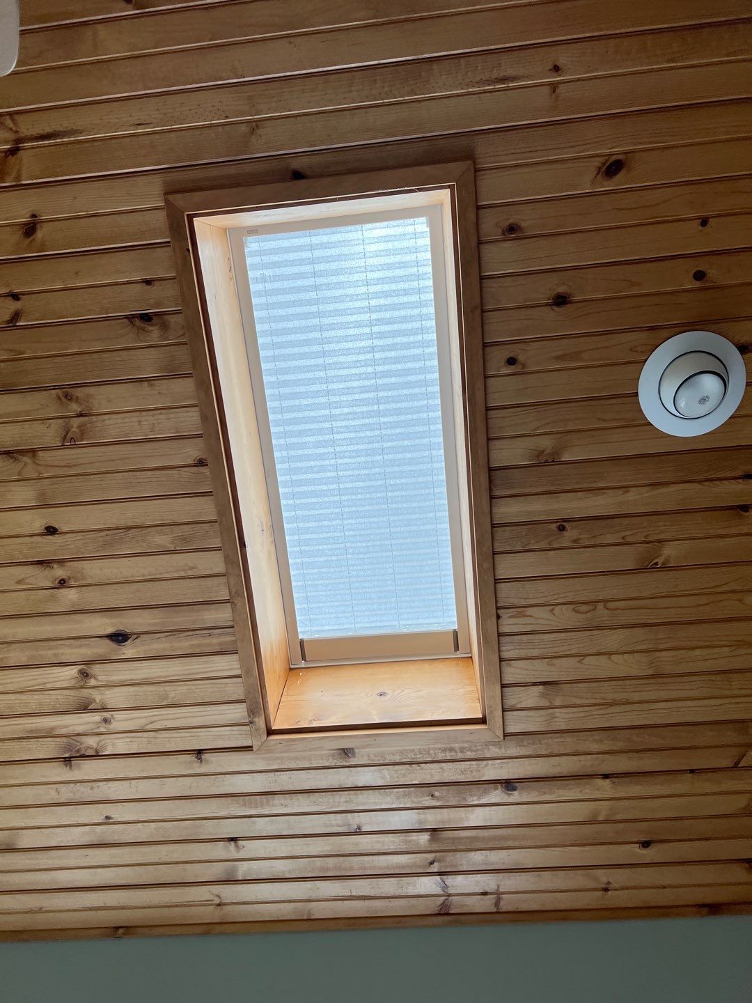 Mike Mast by Silver Leaf Contracting 