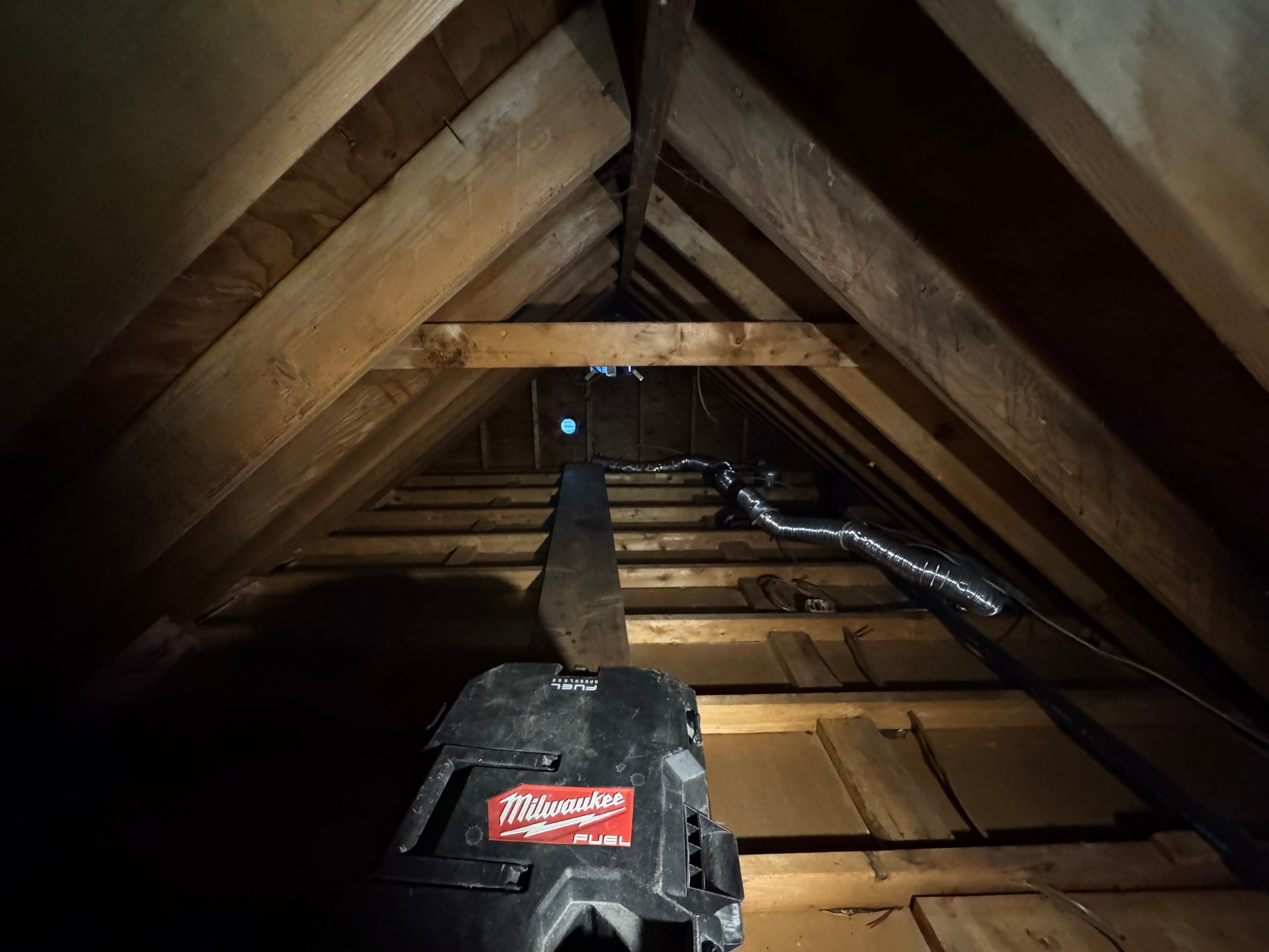 Attic Mold Remediation using Home Guarantee by Home Guarantee, LLC