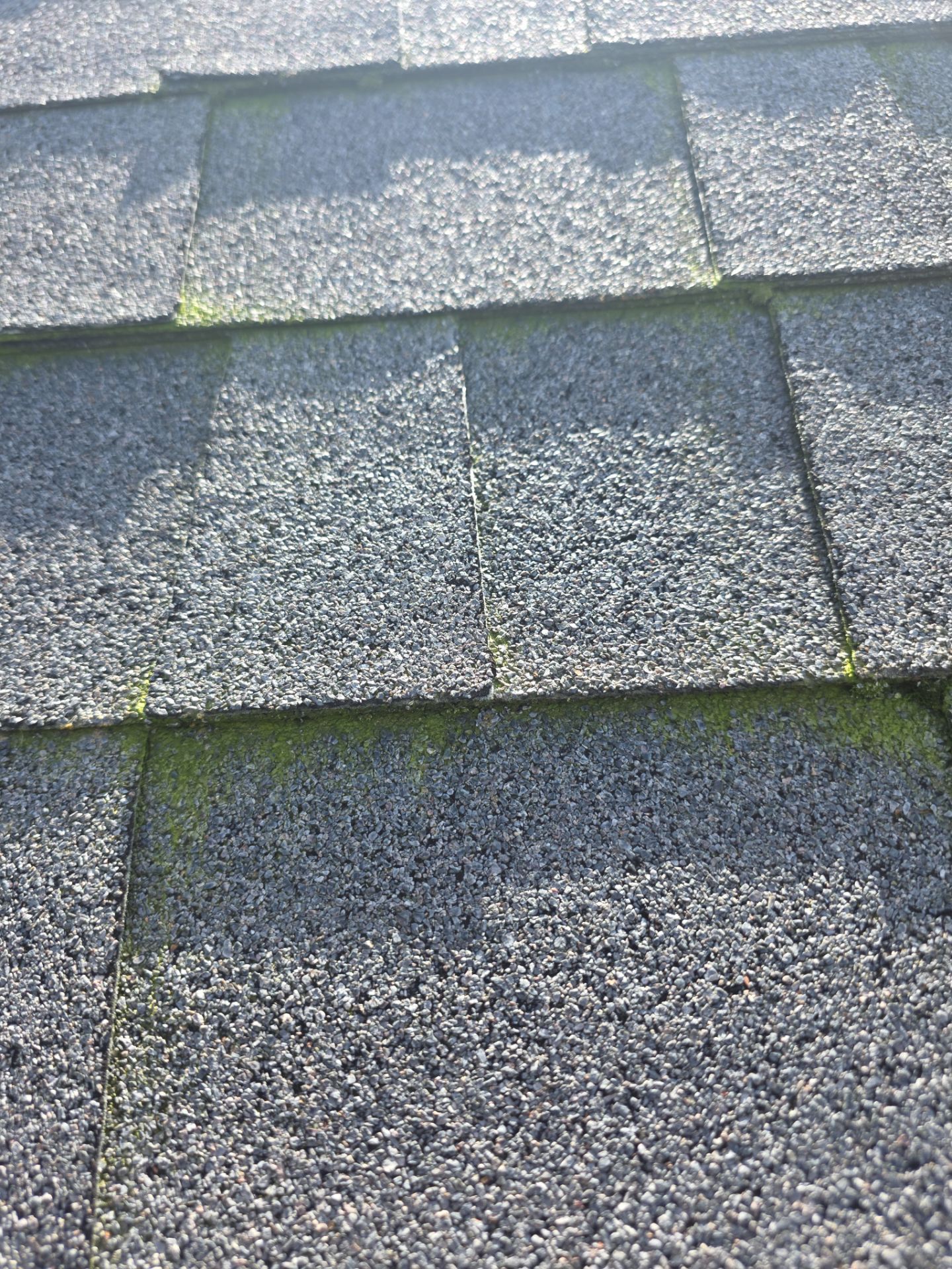 Roof Rejuvenation using Roof Maxx Treatment by Roof Maxx of Folsom