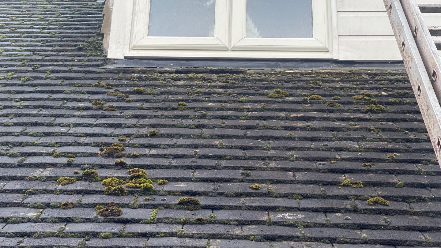 Roof Clean - Biocide Treatment using Honda 15lpm Low Pressure Washing Machine by Ges Exterior Cleaning ltd