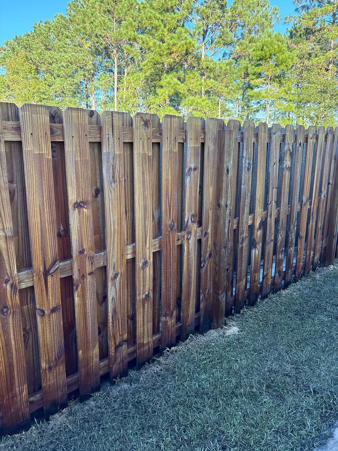 Wood Fence using Wood Sealant by DuraSeal