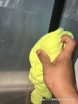 Flood Damage Cleanup — Bonita Springs, FL