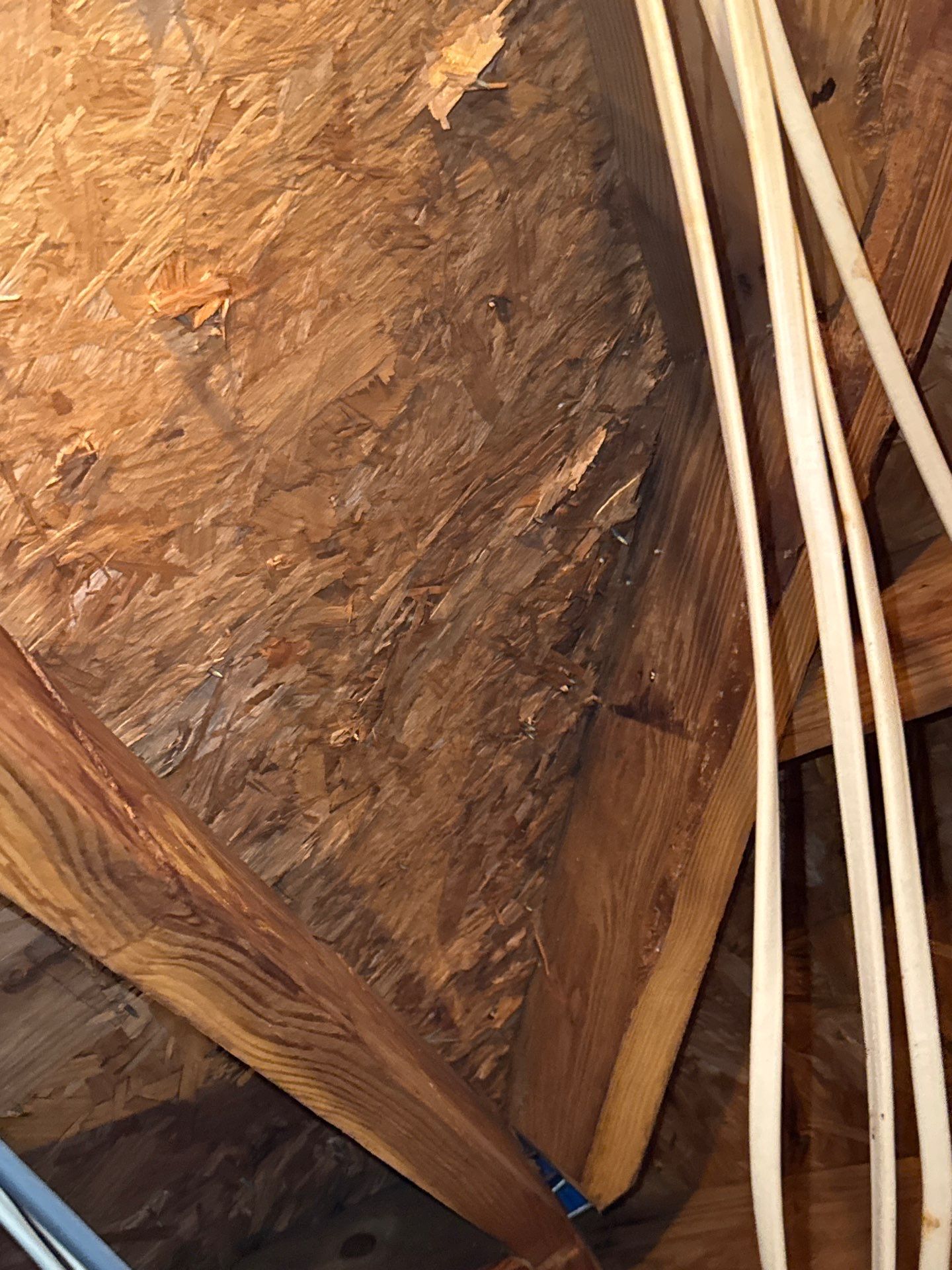 Roof Repair Spring by Roof Repair Company
