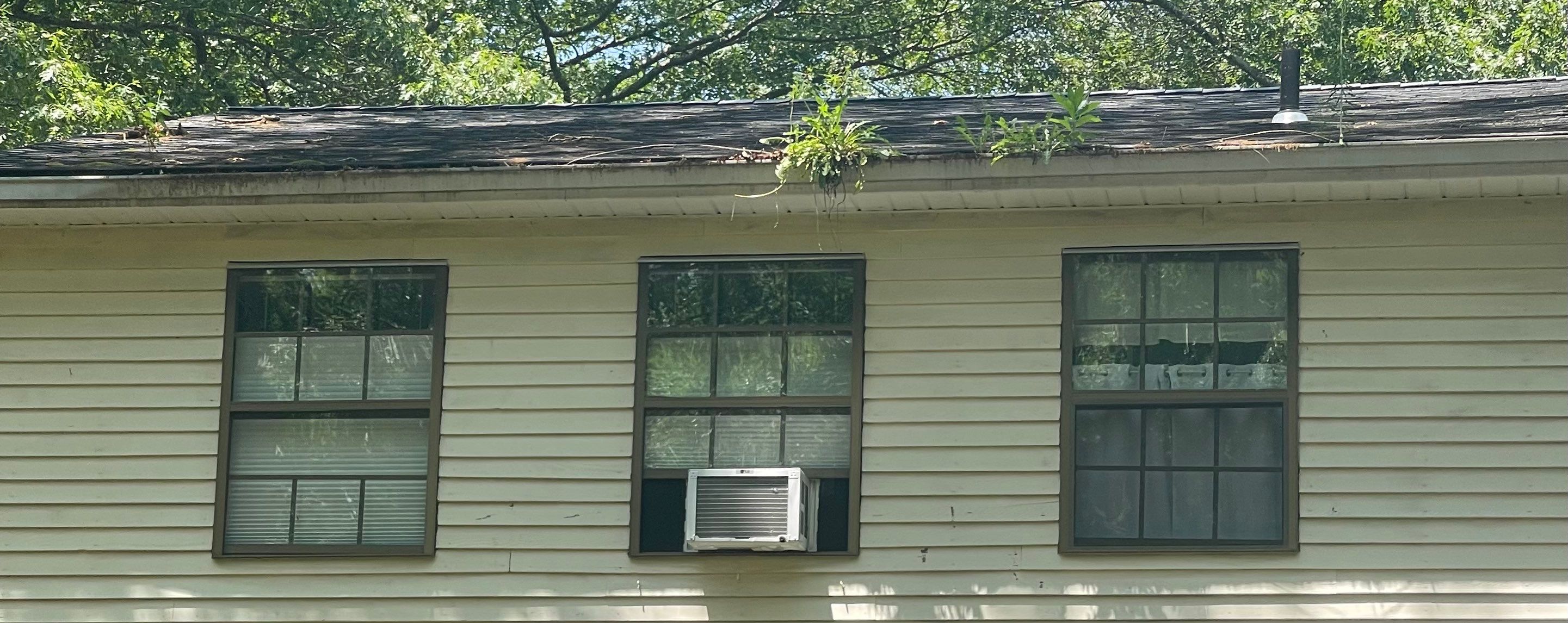 Residential Cleaning using Carbon Fiber Polls & Blower by SJ Exterior