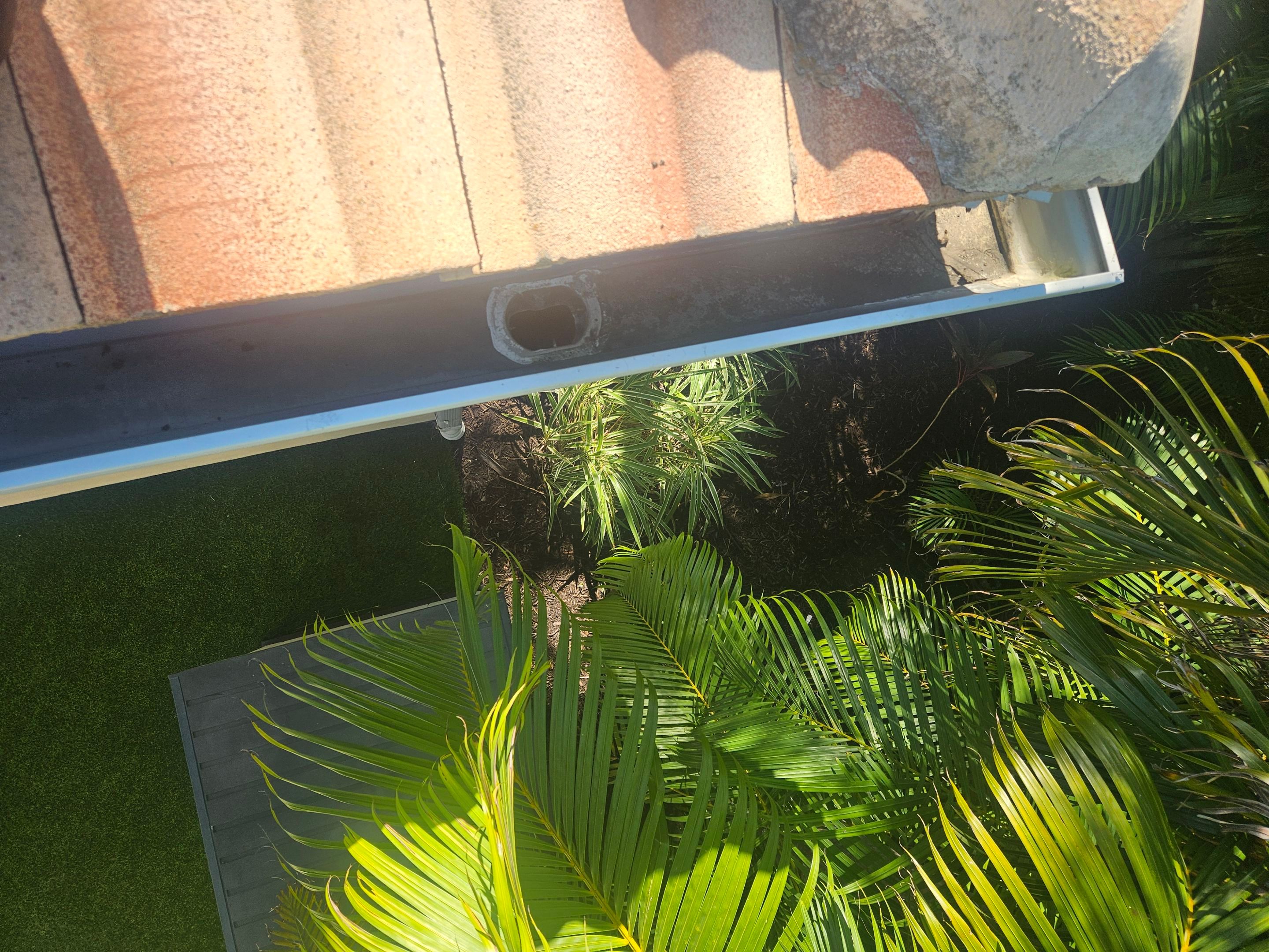 Gutter Cleaning in Sarasota FL by Gutter Professors