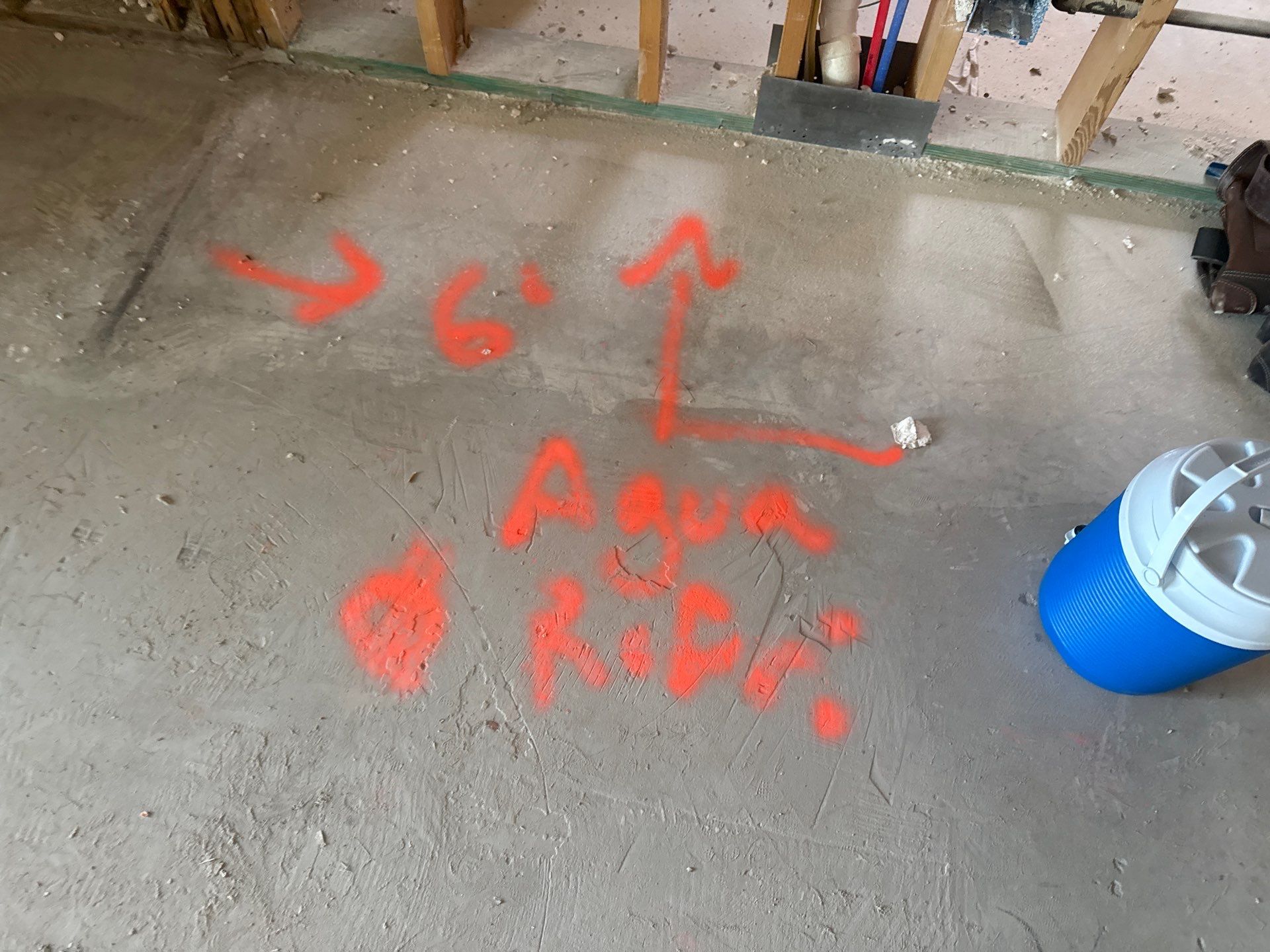 The DeSaro Family by SophAlx LLC