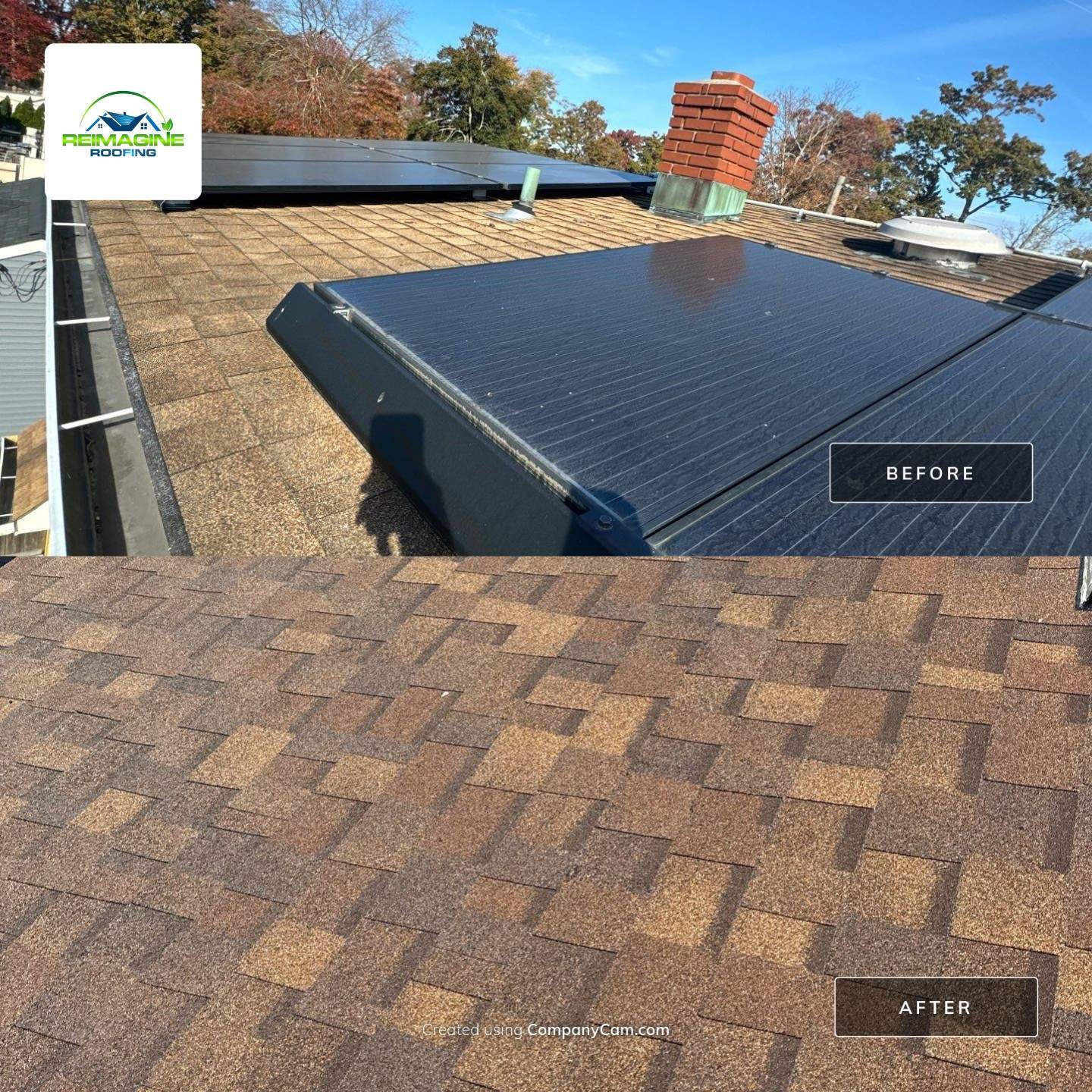 Shakewood Shingles by Reimagine Roofing