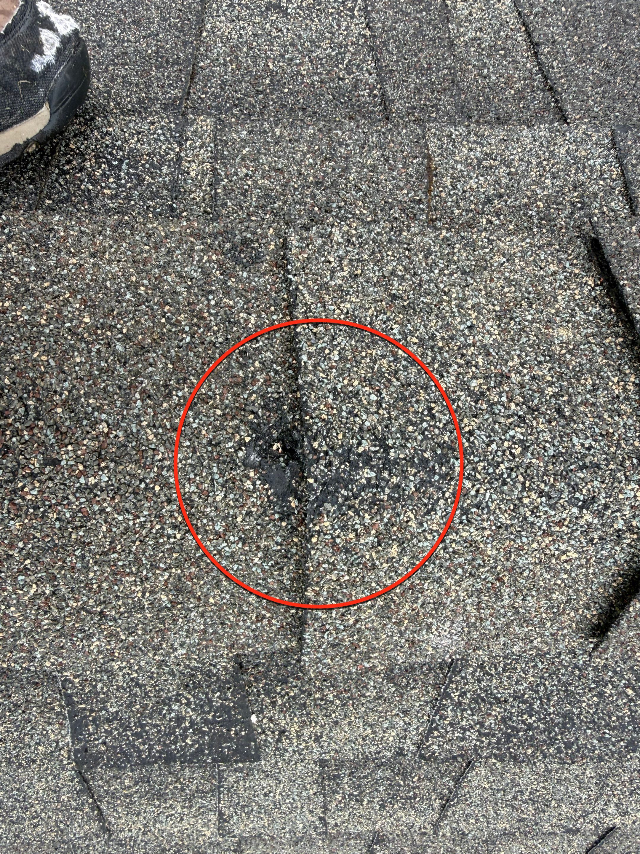Roof Health Report • Eugene, OR by BEST Roofing & Waterproofing