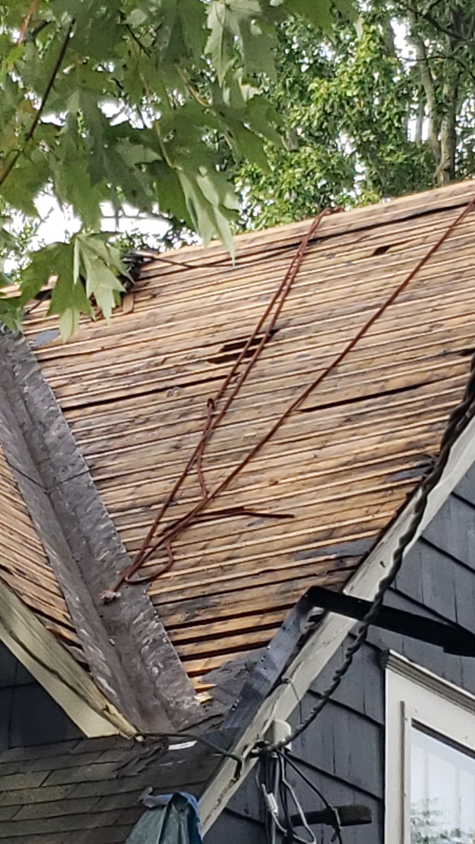 Atlas Pinnacle Pristine Scotchgard: Black Drip Edge: Black by Eagle Eye Roofing