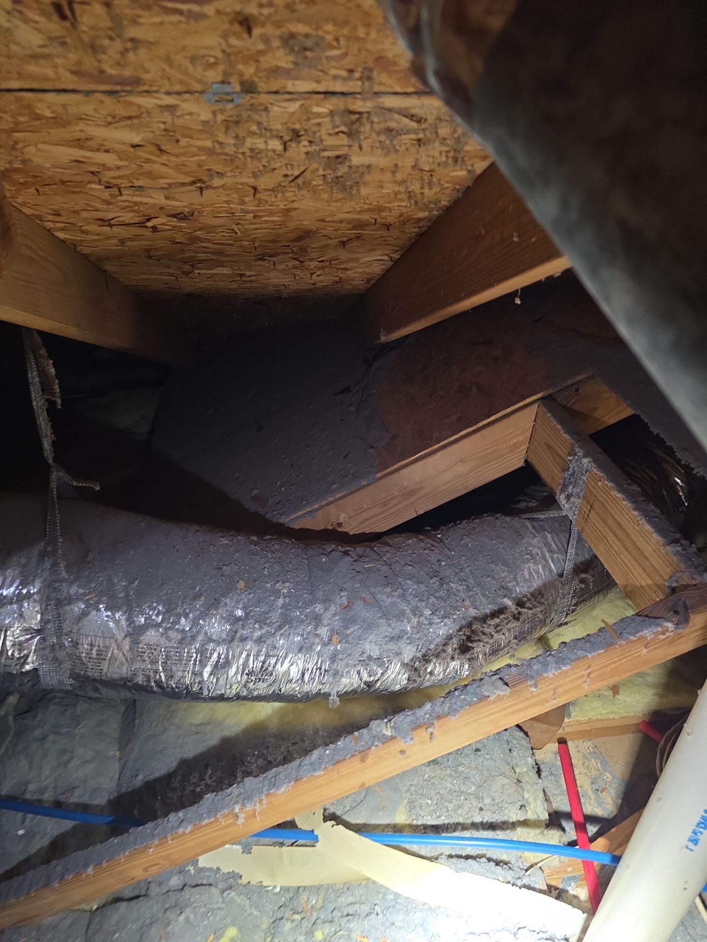 Dryer Vent Cleaning and Repair in Clermont  by Hygienic Air, Inc
