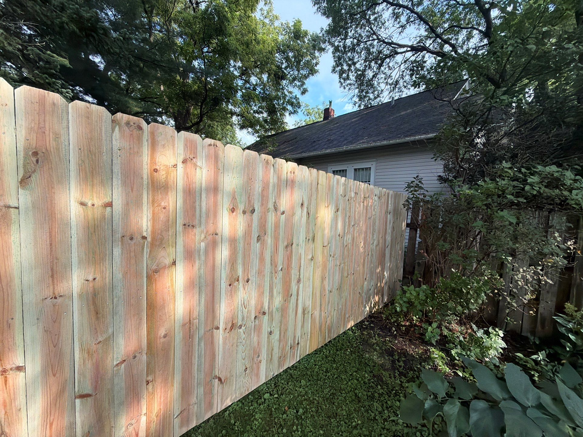 Pressure-Treated Pine Privacy Fence Installation in Cedar Falls by Perfect Picket Fence and Stain