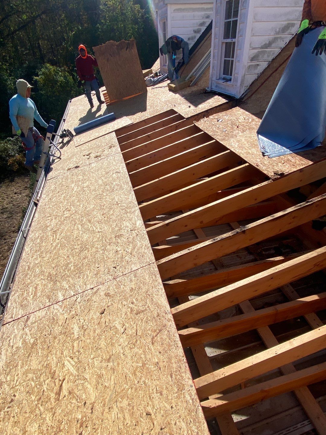 Project in Creedmoor - Certainteed Landmark Silver Birch by Pro Performance Roofing