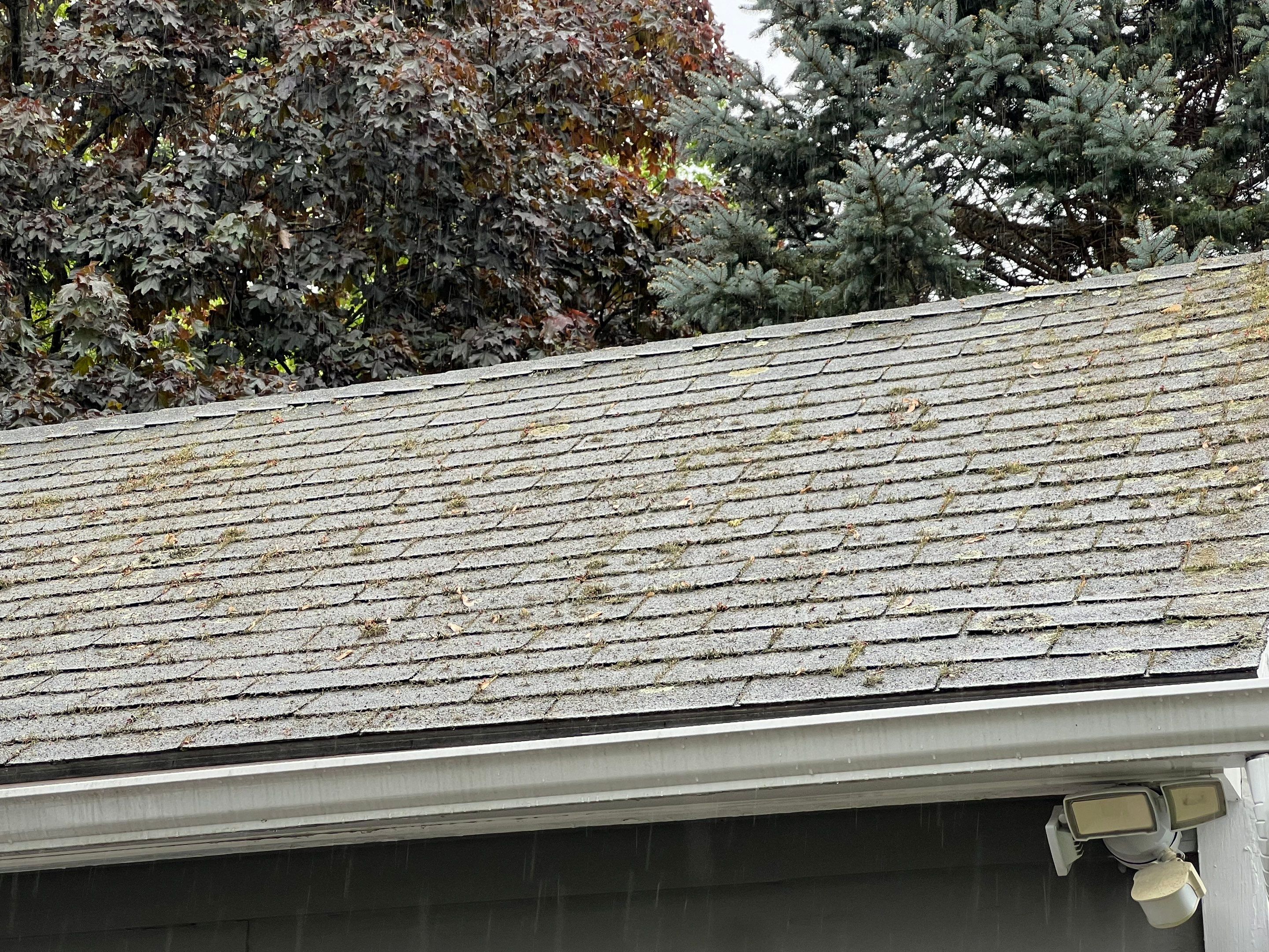 Project in Littleton, MA by Mighty Dog Roofing of Greater Middlesex County