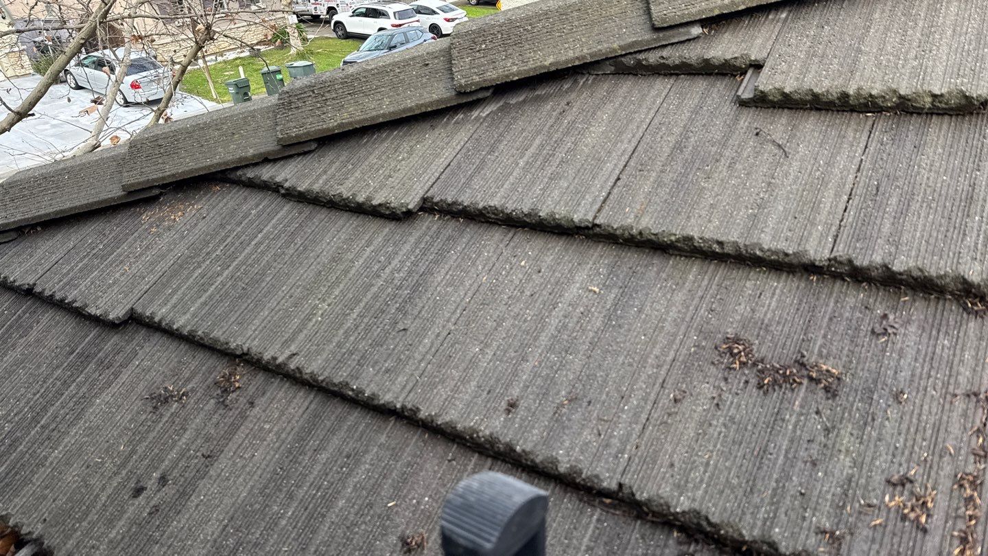 Project by NuLead Construction Inc by NuLead Construction Inc