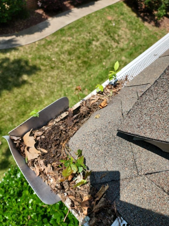 House Wash using cleaner by Power Wash Masters LLC
