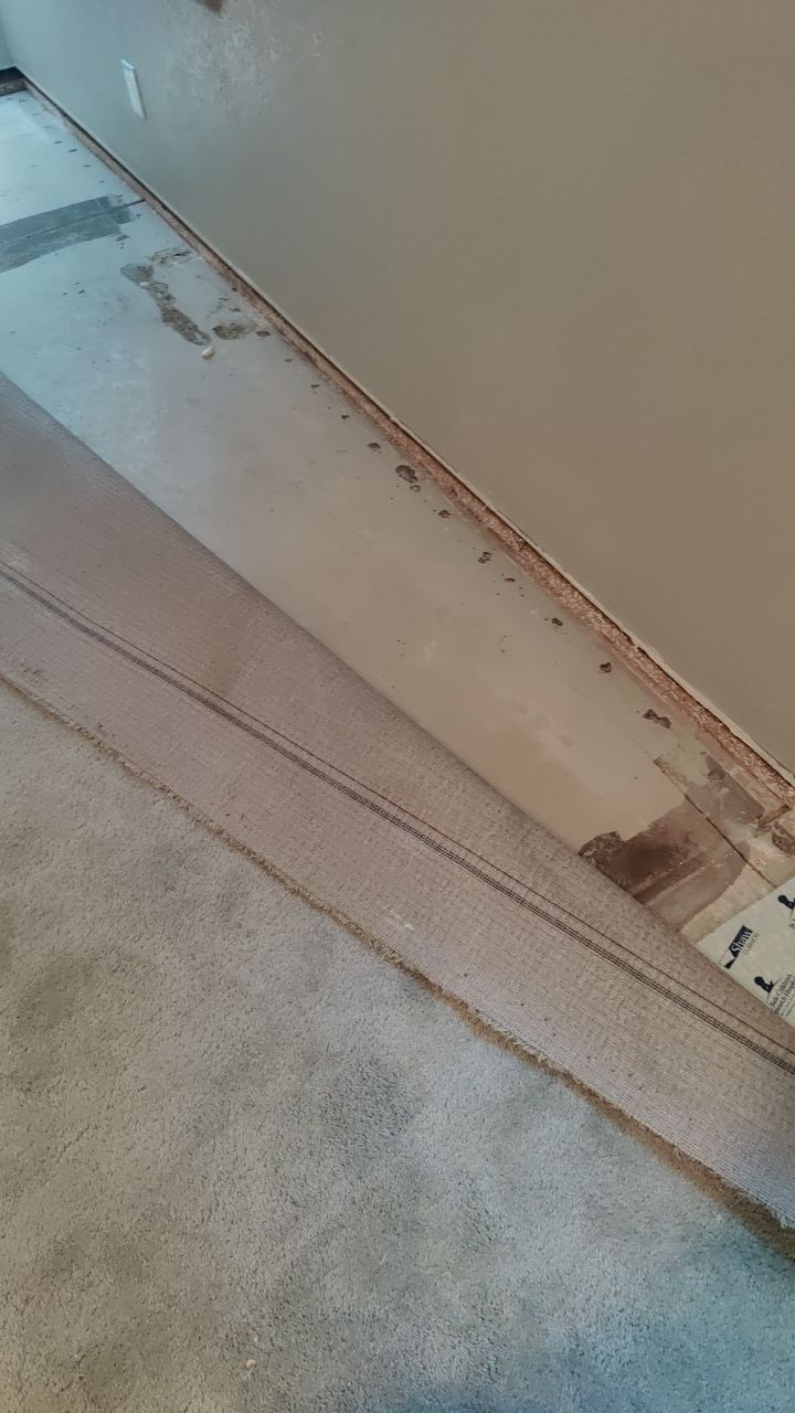 Mold Remediation  by Accountable Home Services