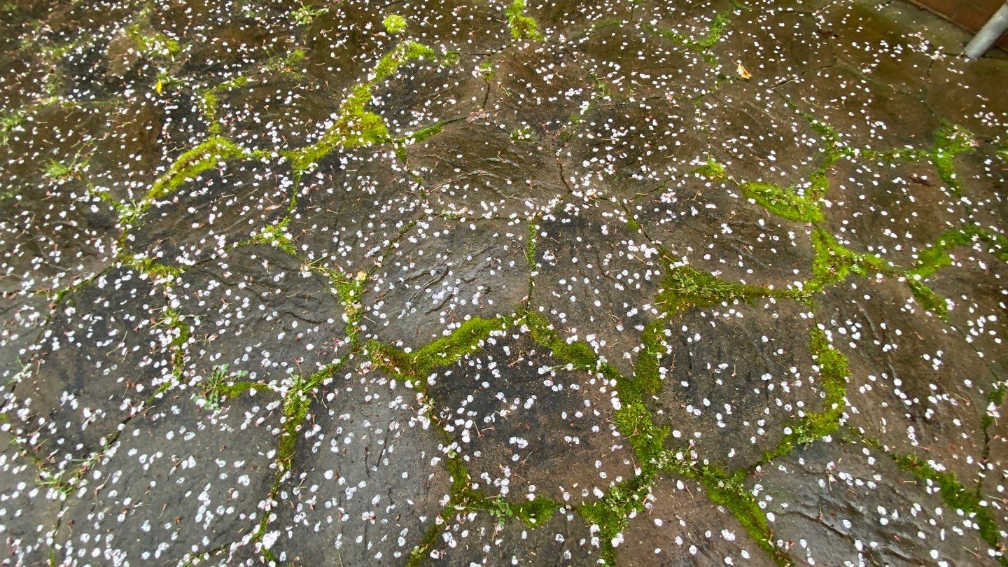 Stone using Concrete Sealant by DuraSeal