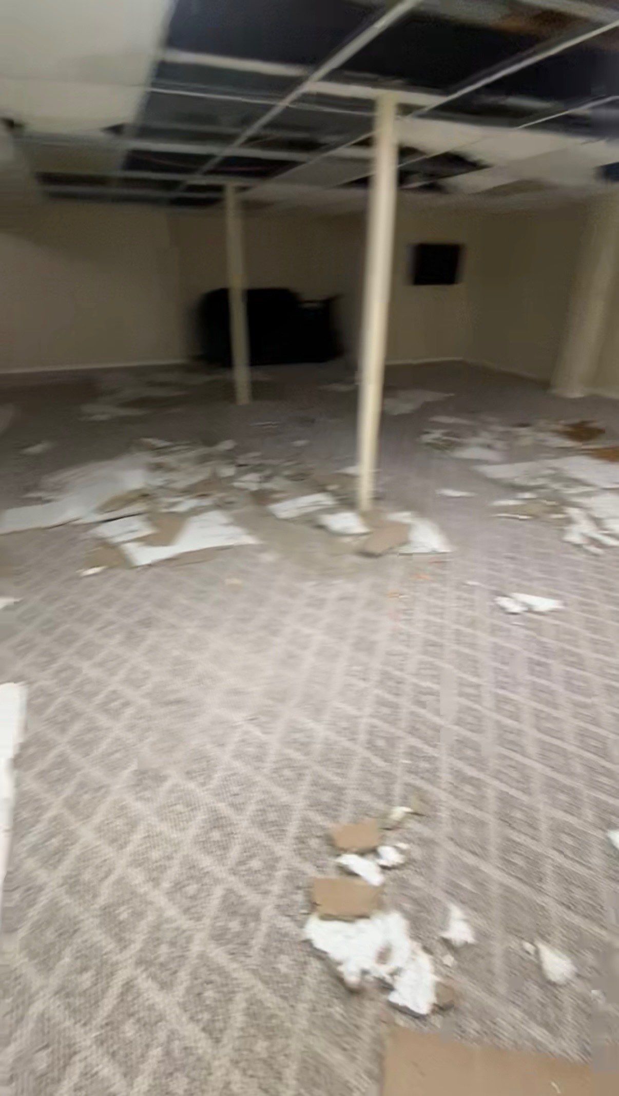 Project in Commerce Twp by EzDry Water Mitigation & Property Restoration