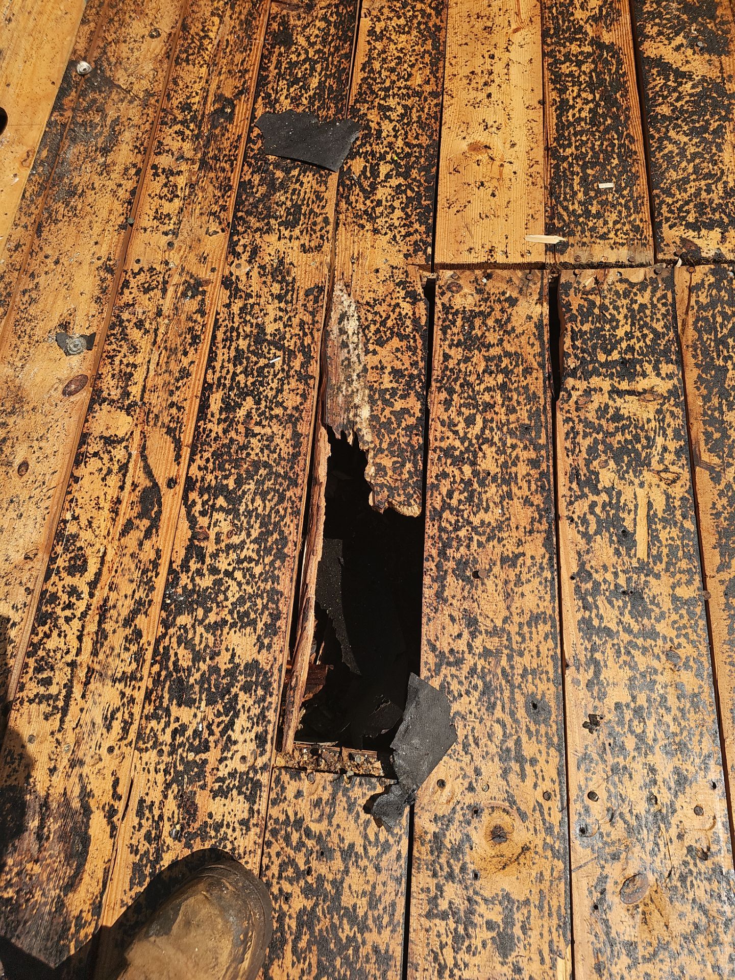 Project in St. Petersburg 33702 by Mitchell Roofing Company LLC 
