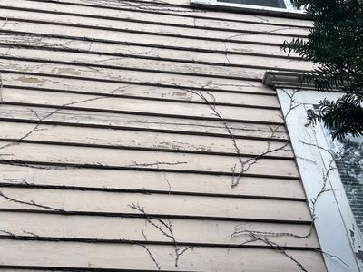 Project in Milwaukee