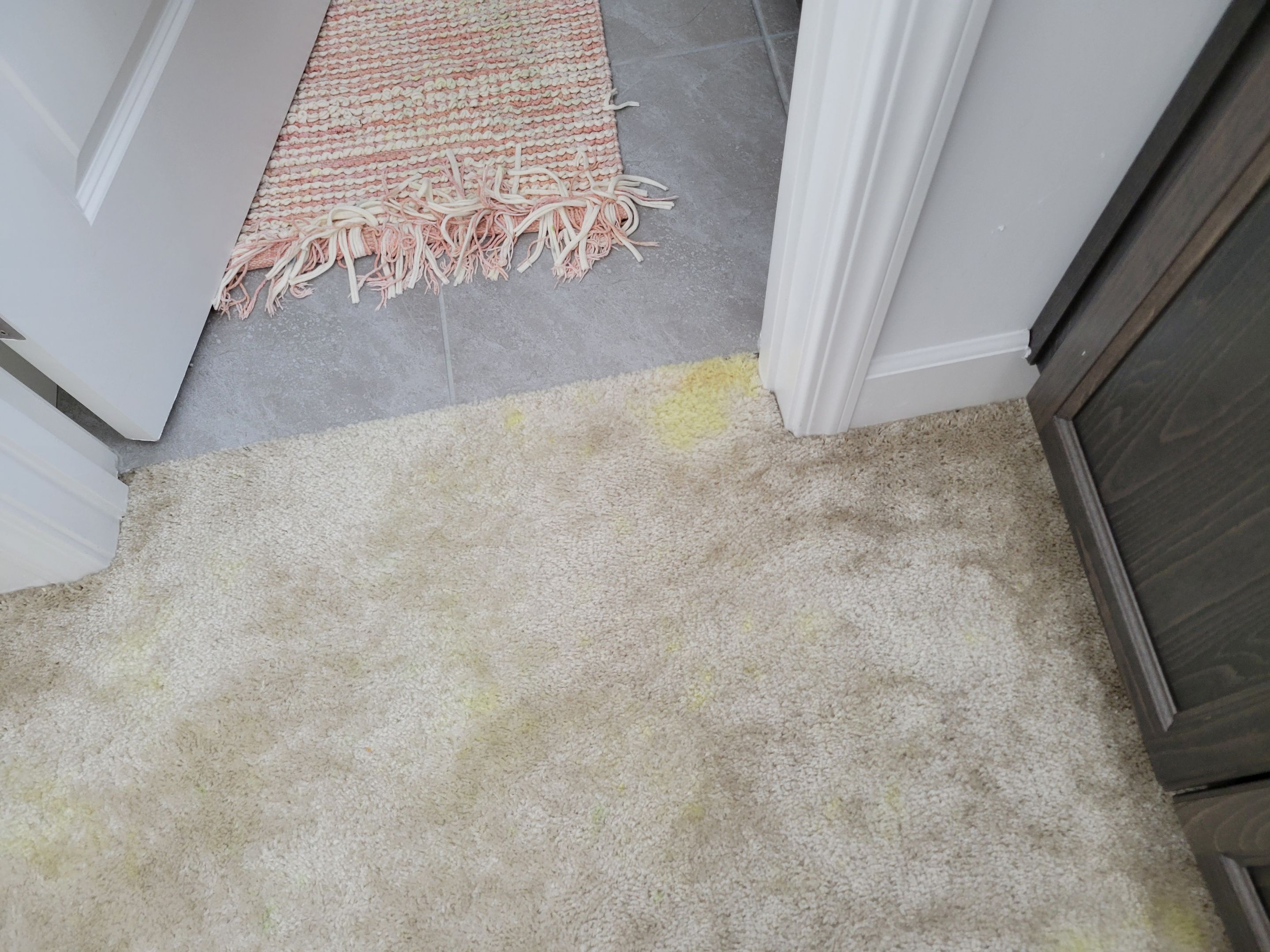 Carpet Repair of Paint, Stain & Bleach by Ardent Carpet Restore LLC