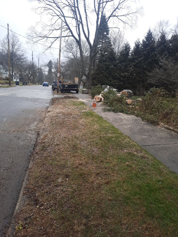 Tree Removal using Tree Removal by Mike Jones & Sons Tree Service LLC 